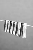 Clothes Pegs Stock Photography Clothes Pegs Stock Photography