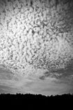Clouds royalty free stock photography Clouds royalty free stock photography