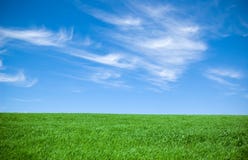Cloudy Sky And Grass Royalty Free Stock Photos