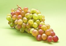 Cluster Of Sweet Italian Grapes Stock Photo