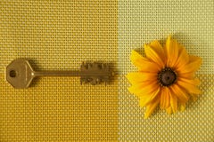 Clé jaune de tournesol et de laiton sur le textile tissé image libre de droits Clé jaune de tournesol et de laiton sur le textile tissé image libre de droits