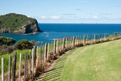 Coastal New Zealand. Royalty Free Stock Photo Coastal New Zealand. Royalty Free Stock Photo