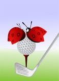 Coccinelles et golf illustration stock Coccinelles et golf illustration stock