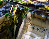 Coche abandonado en Forest Overgrowth foto de archivo Coche abandonado en Forest Overgrowth foto de archivo