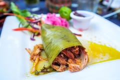 Cochinita Pibil Mexico Food Merida Stock Image Image Of
