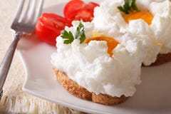 Cocina francesa: huevos cocidos Orsini y primer del tomate horizontal Imagen de archivo libre de regalías Cocina francesa: huevos cocidos Orsini y primer del tomate horizontal Imagen de archivo libre de regalías