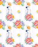 Cockatoo seamless texture with flowers Vector Illustration Cockatoo seamless texture with flowers Vector Illustration