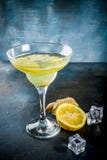 Cocktail di Gingersnap di inverno di autunno immagini stock libere da diritti Cocktail di Gingersnap di inverno di autunno immagini stock libere da diritti