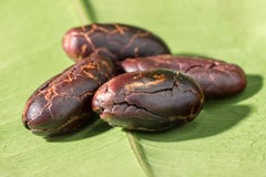 Cocoa beans peeled on a green leaf, close-up stock photos Cocoa beans peeled on a green leaf, close-up stock photos
