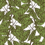 Cocoa beans seamless pattern. vector illustration Cocoa beans seamless pattern. vector illustration
