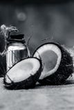 Coconut & Coconut oil royalty free stock photos Coconut & Coconut oil royalty free stock photos