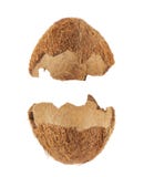 Coconut Fruit Shell Cut In Half Stock Photography Coconut Fruit Shell Cut In Half Stock Photography