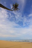 Coconut Palm Tree Near Seawater Waving on Sand Under Blue Sky and White Clouds during Daytime Stock Photography Coconut Palm Tree Near Seawater Waving on Sand Under Blue Sky and White Clouds during Daytime Stock Photography
