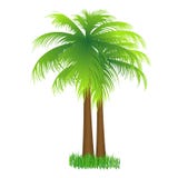 Coconut Tree Royalty Free Stock Photography