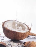 Coconut on white background stock image Coconut on white background stock image