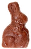 Coelho do chocolate foto de stock Coelho do chocolate foto de stock