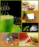 Coffee And Tea Cups Collection Royalty Free Stock Photos