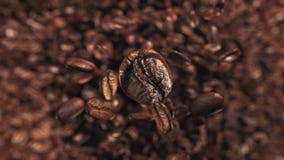 Coffee beans jumping in super slow motion 4K