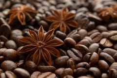 Coffee beans and star anise royalty free stock images Coffee beans and star anise royalty free stock images