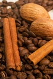 Coffee, Cinamon And Nut Stock Image
