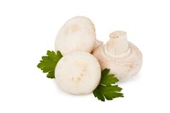 Cogumelo e salsa de campo Foto de Stock Royalty Free Cogumelo e salsa de campo Foto de Stock Royalty Free