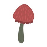 Cogumelo venenoso do amanita ilustração stock Cogumelo venenoso do amanita ilustração stock