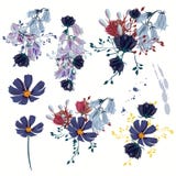 Colección de flores realistas del vector para el diseño libre illustration Colección de flores realistas del vector para el diseño libre illustration