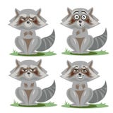 Colección del mapache con diversas emociones ilustración del vector Colección del mapache con diversas emociones ilustración del vector