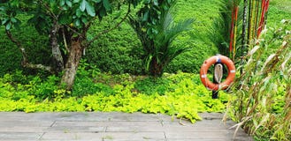 Colete salva-vidas de borracha alaranjado no jardim com muitas folhas fundo do verde e espaço da cópia fotos de stock Colete salva-vidas de borracha alaranjado no jardim com muitas folhas fundo do verde e espaço da cópia fotos de stock