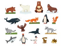 Coleção dos desenhos animados do ártico diferente e de animais antárticos Urso polar, pinguim, albatroz, rena, selo, morsa ilustração stock Coleção dos desenhos animados do ártico diferente e de animais antárticos Urso polar, pinguim, albatroz, rena, selo, morsa ilustração stock