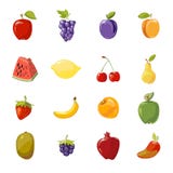Coleção suculenta dos frutos do vetor sobre o branco ilustração royalty free Coleção suculenta dos frutos do vetor sobre o branco ilustração royalty free