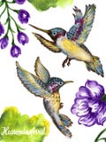 Colibri do voo da ilustração do guache da aquarela isolado em w ilustração do vetor Colibri do voo da ilustração do guache da aquarela isolado em w ilustração do vetor