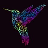 Colibrì con l'ornamento floreale Concetto di progetto per la stampa, carta, manifesto Immagini Stock Colibrì con l'ornamento floreale Concetto di progetto per la stampa, carta, manifesto Immagini Stock