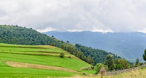 Colinas en el camino de Transalpina, montañas de la hierba verde de Parang fotos de archivo libres de regalías Colinas en el camino de Transalpina, montañas de la hierba verde de Parang fotos de archivo libres de regalías