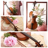 Collage con el violín y la flor viejos foto de archivo Collage con el violín y la flor viejos foto de archivo