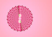 Collage di bei fiori rosa del tulipano su un fondo rosa con lo spazio vuoto della copia fotografia stock libera da diritti Collage di bei fiori rosa del tulipano su un fondo rosa con lo spazio vuoto della copia fotografia stock libera da diritti
