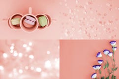 A collage of photos in color in 2019 Living Coral royalty free stock photos A collage of photos in color in 2019 Living Coral royalty free stock photos