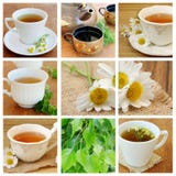Collage With Tea Stock Photo