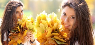 Collage, young beautiful woman with a bouquet of maple leaves stock image Collage, young beautiful woman with a bouquet of maple leaves stock image