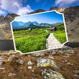 Collage of Zakopane mountains national park in Polonia Royalty Free Stock Images Collage of Zakopane mountains national park in Polonia Royalty Free Stock Images
