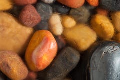 Colorful pebbles partly covered by shallow water and ice crystals stock image Colorful pebbles partly covered by shallow water and ice crystals stock image