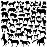 Collection of farm animal vector