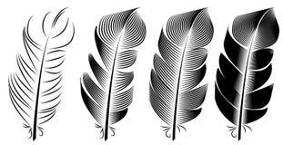 Collection of feather illustration, drawing, engraving, ink, line art stock illustration Collection of feather illustration, drawing, engraving, ink, line art stock illustration