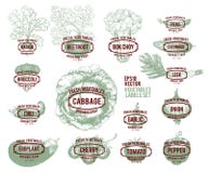 Collection of hand drawn vegetable illustrations, vector illustration in vintage style. Labels with various vegetables stock illustration Collection of hand drawn vegetable illustrations, vector illustration in vintage style. Labels with various vegetables stock illustration