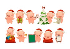 Collection of happy cute Christmas pig isolated vector stock illustration Collection of happy cute Christmas pig isolated vector stock illustration