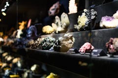 Mineral collection in museum stock photo Mineral collection in museum stock photo