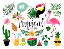 Collection tropicale d'été, éléments d'isolement sur le blanc illustration stock Collection tropicale d'été, éléments d'isolement sur le blanc illustration stock