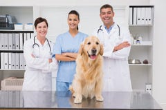 Collega veterinario che sorride alla macchina fotografica con il cane fotografie stock libere da diritti Collega veterinario che sorride alla macchina fotografica con il cane fotografie stock libere da diritti