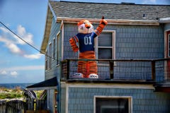 College football season adds to the fun and excitement on the North Florida beachfront royalty free stock image College football season adds to the fun and excitement on the North Florida beachfront royalty free stock image
