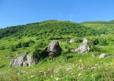 Collines vertes avec l'herbe, la forêt et les roches photo libre de droits Collines vertes avec l'herbe, la forêt et les roches photo libre de droits
